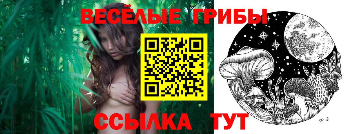 Галлюциногенные грибы мухоморы Кимры